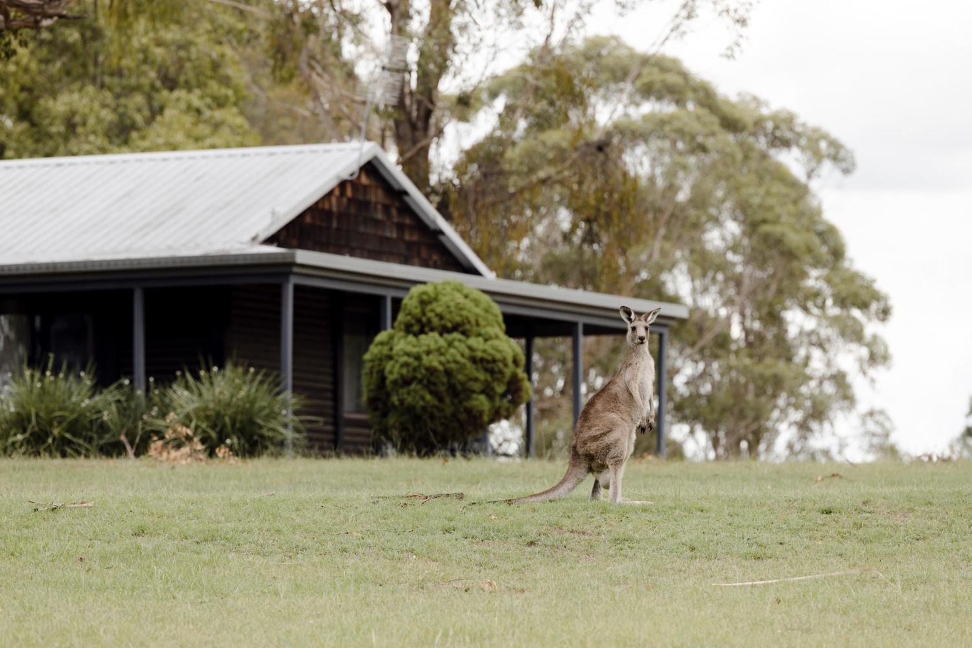 Palmers Lane Estate Hunter Valley Pokolbin Luaran gambar